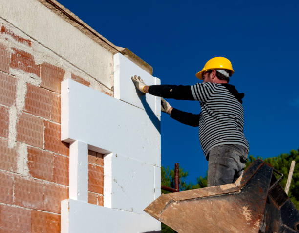 Best Geographic-Specific Insulation Services in Cold Spring, MN