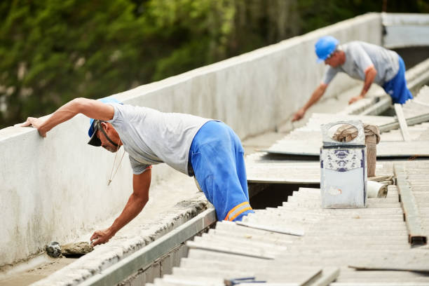 Best Insulation Maintenance and Repair in Cold Spring, MN