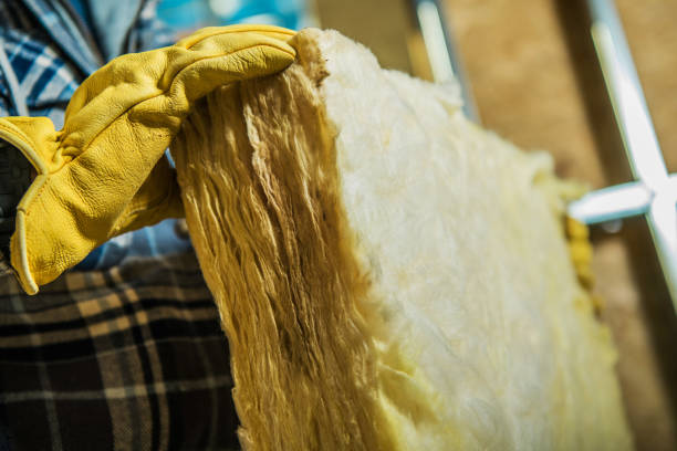 Best DIY Insulation Kits and Guidance in Cold Spring, MN
